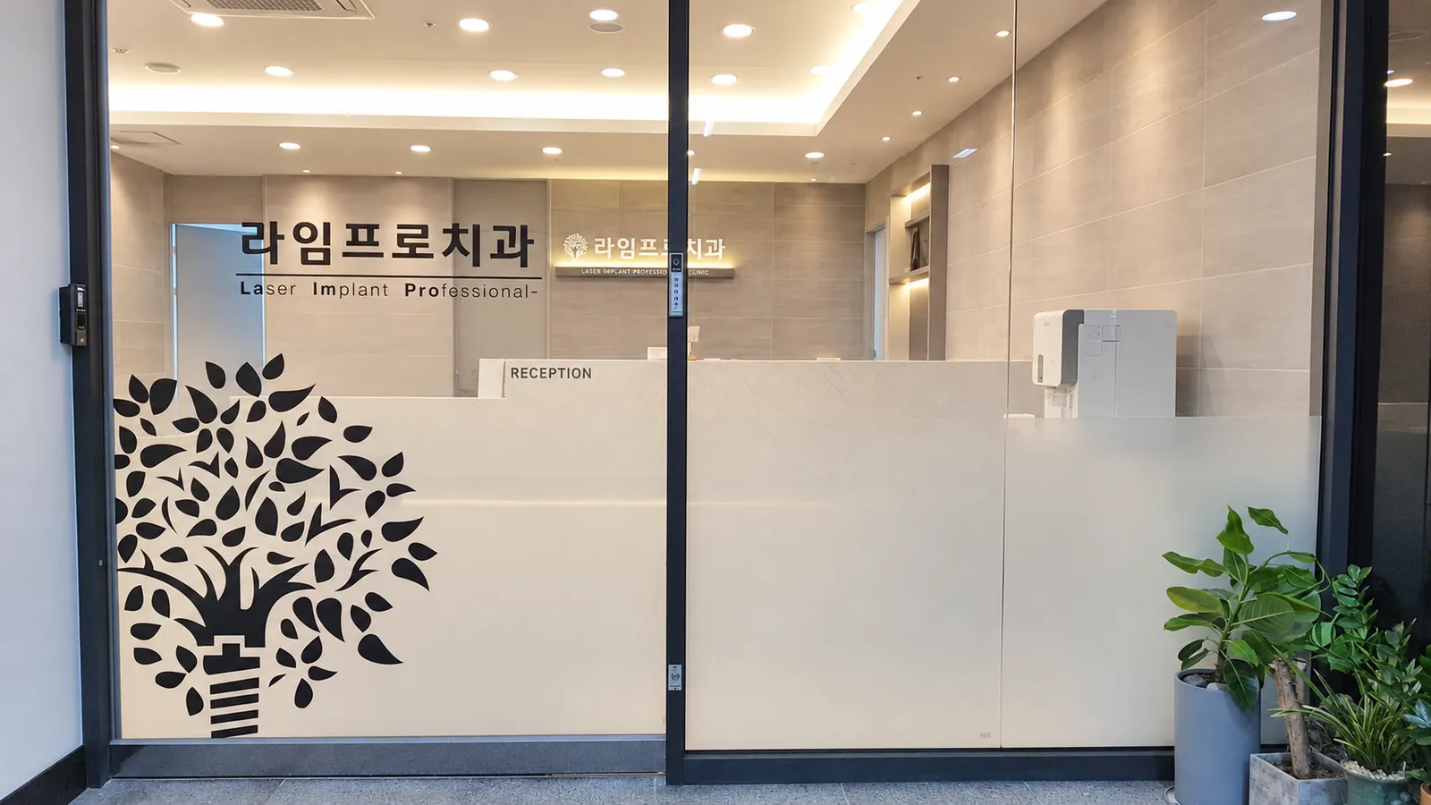 라임프로치과 입구 — 나무 로고가 있는 유리문